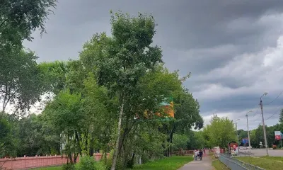 Дожди накроют Приамурье: синоптики предупредили об ухудшении погоды