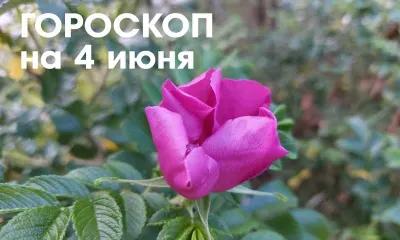 Гороскоп на 4 июня 2026 года: убывающая Луна в знаке Козерог - хороший день для решения сложных задач