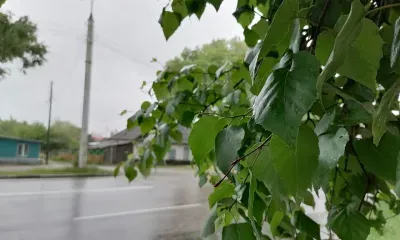 Прогноз погоды на 5 июня 2026 года в Амурской области: в Благовещенске будет теплее, чем в целом по региону