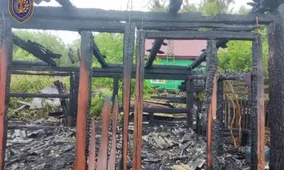 Молния ударила в дерево рядом с домом: пожар уничтожил постройку