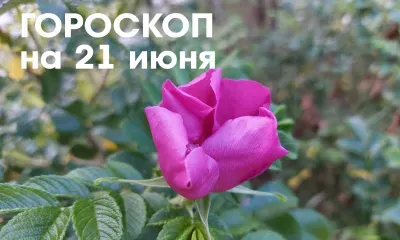 Гороскоп на 21 июня 2026 года: растущая Луна в Деве - день подходит для любого общения, любовных отношений