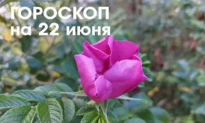 Гороскоп на 22 июня 2026 года: растущая Луна в Весах - день стоит посвятить завершению текущих проектов