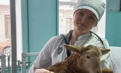 Будущие ветеринары все чаще идут на целевое обучение в Приамурье