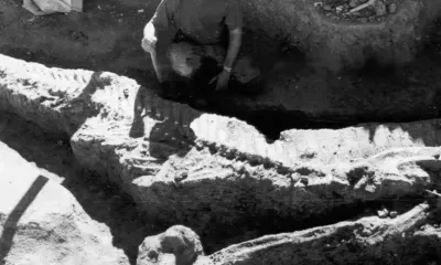 Скончался Юрий Болотский - амурский ученый, открывший первый в России полный скелет динозавра