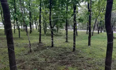 Гроза с усилением ветра до 13 м/с пройдет в Амурской области 3 июля