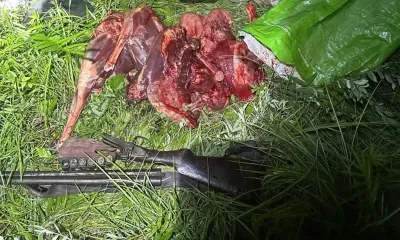Браконьер оборудовал тайник в «Ниве» для мяса косули и незарегистрированного ружья