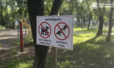 Урок не усвоен: в сквере поймали тех, кто снова выгуливал собак не по правилам