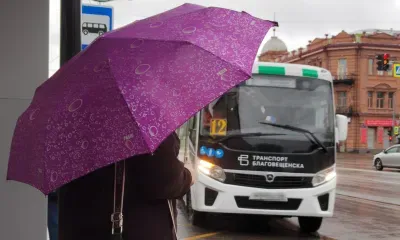 Пересмотрят маршруты автобусов и обновят десятки остановок в Приамурье
