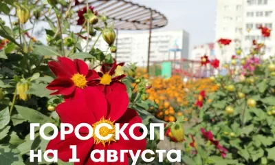 Гороскоп на 1 августа 2026 года: убывающая Луна в знаке Рыб - день не подходит для серьезной работы, лучше сосредоточиться на текущих задачах