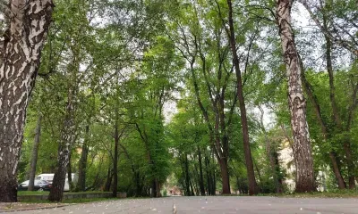 Днем местами по северным районам Амурской области 1 августа - гроза
