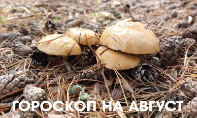Гороскоп на август 2026 года: не торопите события, позвольте переменам происходить естественно