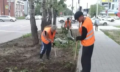 Ручной труд и гидропосев: более 16 тысяч квадратных метров газонов обновили в Приамурье