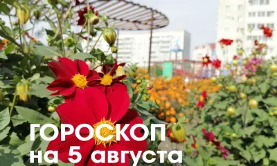 Гороскоп на 5 августа 2026 года: убывающая Луна в знаке Овна и Тельца - благоприятно общение как источник полезной информации