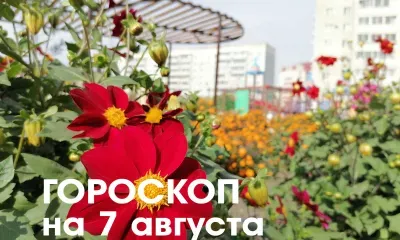 Гороскоп на 7 августа 2026 года: убывающая Луна в знаке Тельца и Близнецов - усердие и трудолюбие принесут долгожданные результаты