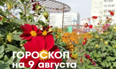 Гороскоп на 9 августа 2026 года: убывающая Луна в знаке Близнецов и Рака - запланированные инвестиции принесут прибыль