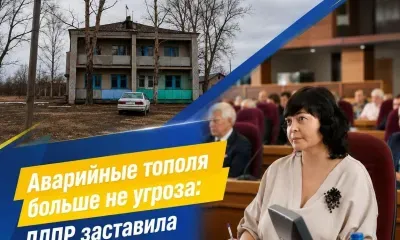 Аварийные тополя больше не угроза: ЛДПР заставила чиновников работать!