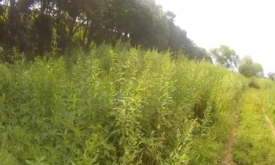Нелегальную свалку ликвидировали в Приамурье
