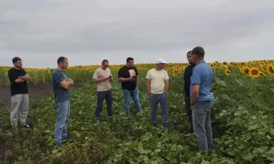 Новые технологии помогают аграриям минимизировать риски при посевной