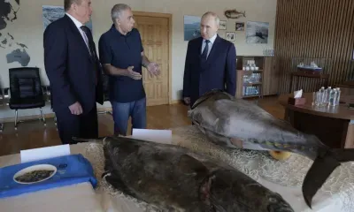 Путин впервые посетил Курильские острова и там раскрыл генетический код россиян