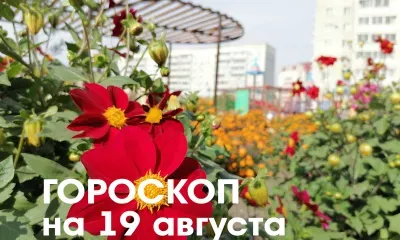 Гороскоп на 19 августа 2026 года: растущая Луна в знаке Скорпиона - рекомендуется избавляться от старых обид и негатива