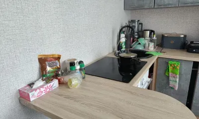 Тараканы и мухи: какую опасность они приносят в дом