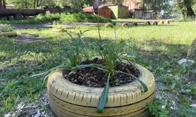 Покрышки-клумбы убирают из дворов Белогорска
