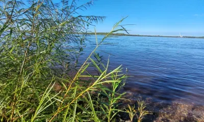 Температура в дневные часы в Амурской области 22 августа не превысит +24 °С