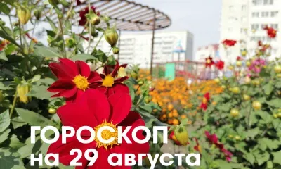 Гороскоп на 29 августа 2026 года: важно сохранять спокойствие и гибкость