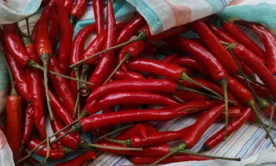 Зараженные картофель, перец и томаты выявили в поставках из Китая в Приамурье 