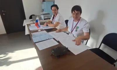 Черепаха пришла на выборы в Амурской области