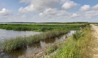 Водоем загрязнила золотодобывающая организация и выплатила государству миллионы