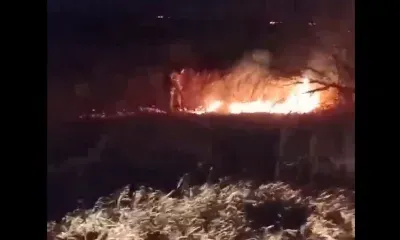 Дышать нечем: пожарные раскритиковали поджигателей сухой травы