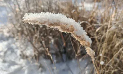 Прогноз погоды на 30 октября: снег, мокрый снег, гололедные явления, ветер до 18 м/с