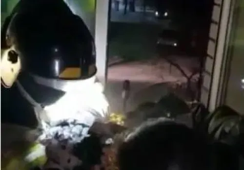 Пожарные в Белогорске реанимировали кота