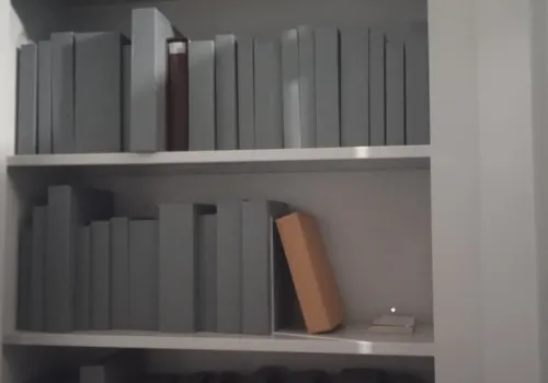 В амурской библиотеке хранят больше 30 старинных книг, отнесенных к книжным памятникам