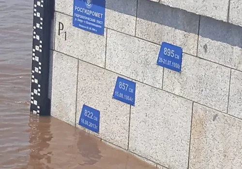 На набережную Благовещенска вышло много людей, Амур залил все спуски