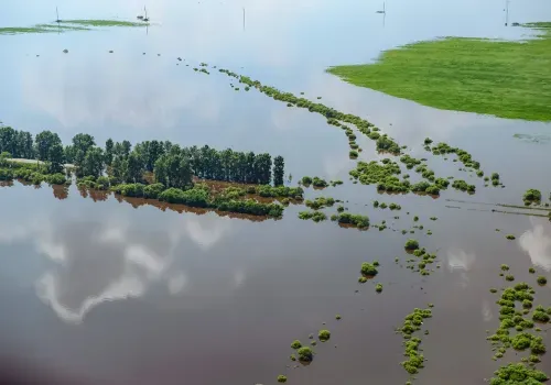 Амур местами идет на спад: обстановка на реках на 28 июня