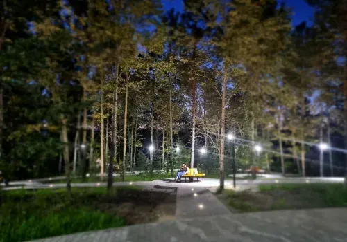 Сквер за площадью Победы благоустроили в Сковородине