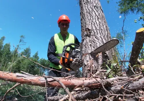 Военные начали подготовку к реконструкции БАМа