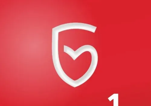 Мэр Благовещенска представил новые варианты неофициального логотипа города