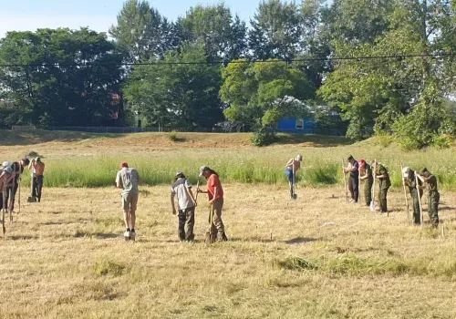 Древние артефакты в Сковородинском районе ищут юнармейцы