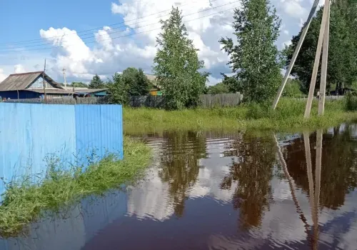 Река подтопила приусадебные участки в Норске Селемджинского района