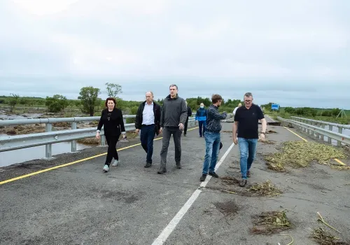 Василий Орлов проверил ход восстановительных работ на мосту в Бурейском районе