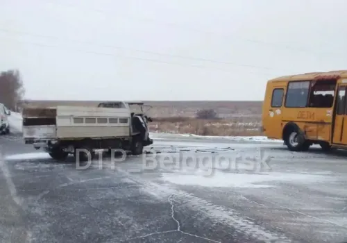 Школьный автобус и грузовик столкнулись на дороге Серышевского района