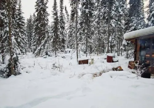 Охотник, раненный медведем, почти три недели ждал помощи в тайге