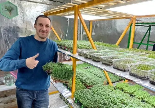 Микрозелень для амурского севера выращивает сити-фермер в Тынде