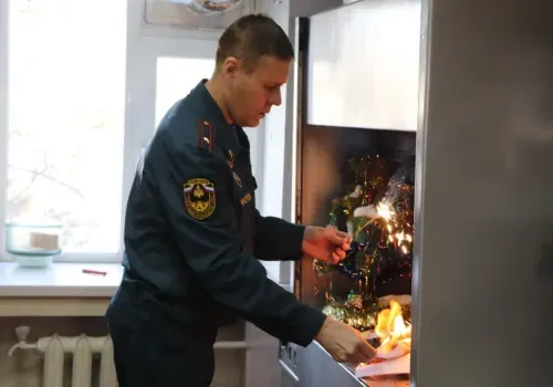 Искусственную елку подожгли сотрудники МЧС в Приамурье