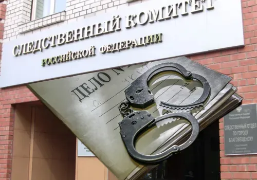 Камеры помогли найти возможного убийцу пенсионерки в Благовещенске