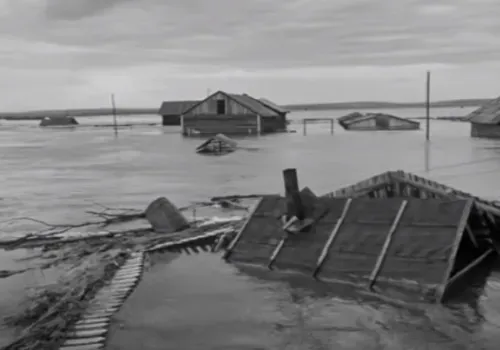 Фильм о наводнении 1958 года в Приамурье разлетелся по интернету