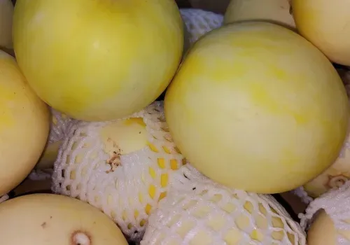 Мини-дыни из Китая появились в магазинах Амурской области